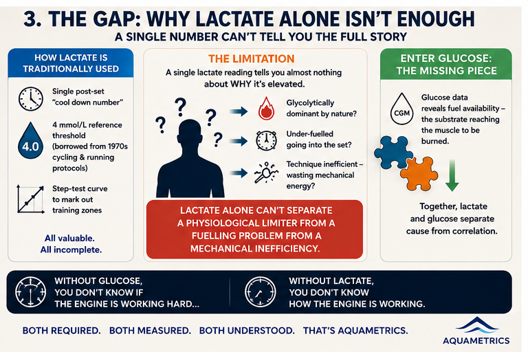 The gap — why lactate alone isn't enough, and what glucose reveals